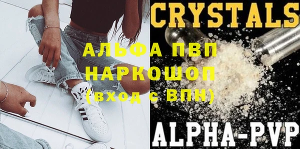 эйфоретик Белокуриха