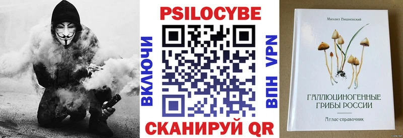 MEGA онион что такое наркотик Корсаков нарко площадка Telegram Псилоцибиновые грибы Psilocybine cubensis