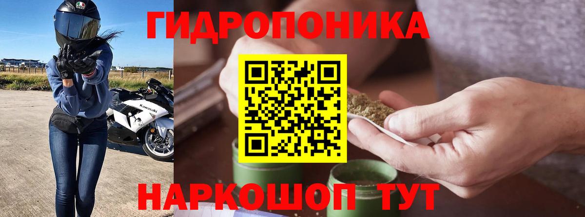 Бошки Шишки White Widow  Вход с VPN  Каннабис семена  Корсаков  Канабис SATIVA & INDICA  Бошки Шишки семена 